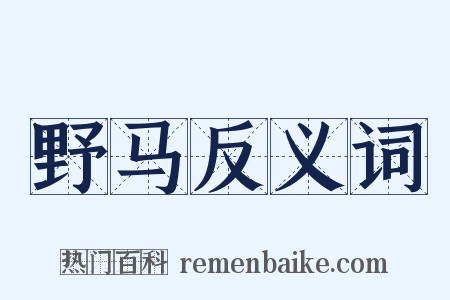 野马反义词是什么意思的图片